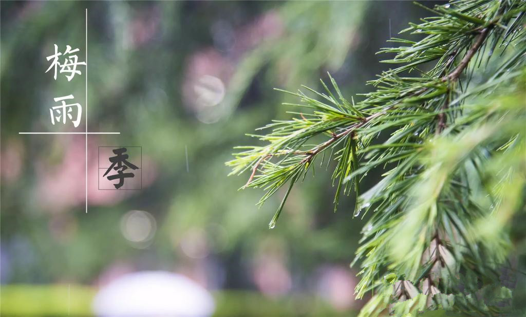 雨季到來，涂料施工需注意哪些問題